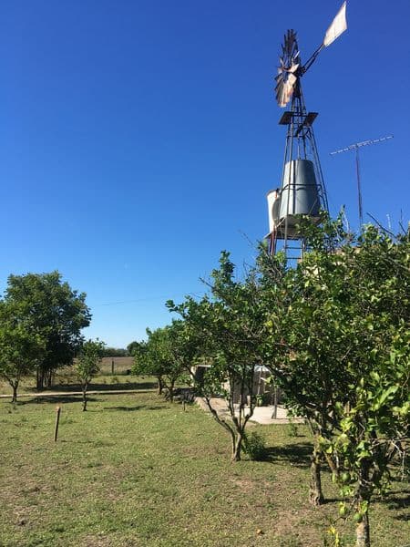 Camino KM 103 - Lima  - Miniatura 18