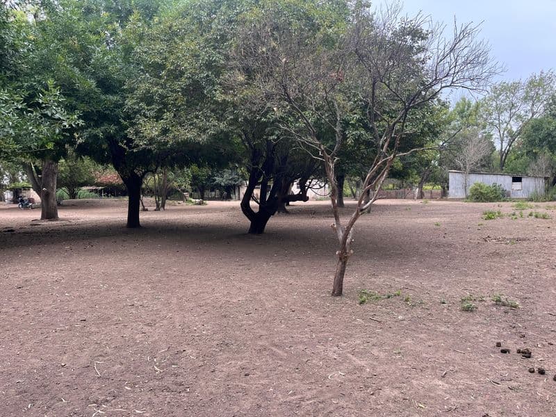 Camino Km 103 y RN9 - Lima - Miniatura 6