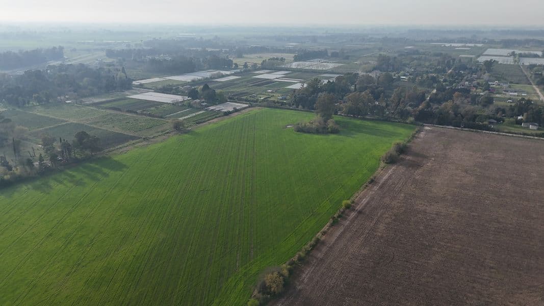 RN9 Km 93,5 - Zárate - Miniatura 4