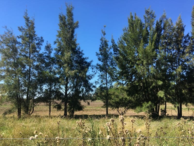 Camino KM 103 - Lima  - Miniatura 30