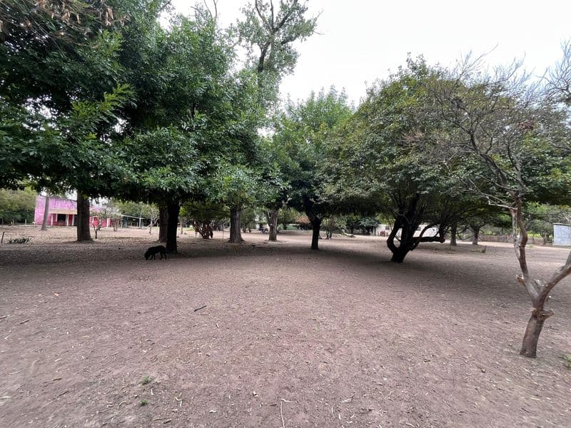 Camino Km 103 y RN9 - Lima - Miniatura 7