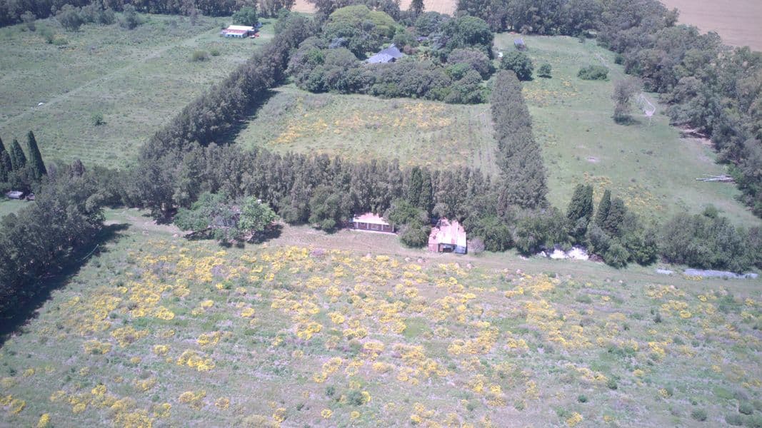 RN9  m 138 - Baradero - Miniatura 8