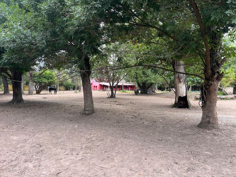 Camino Km 103 y RN9 - Lima - Miniatura 12
