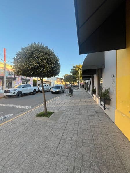 Locales + casa - venta en conjunto, en Lima - Miniatura 4