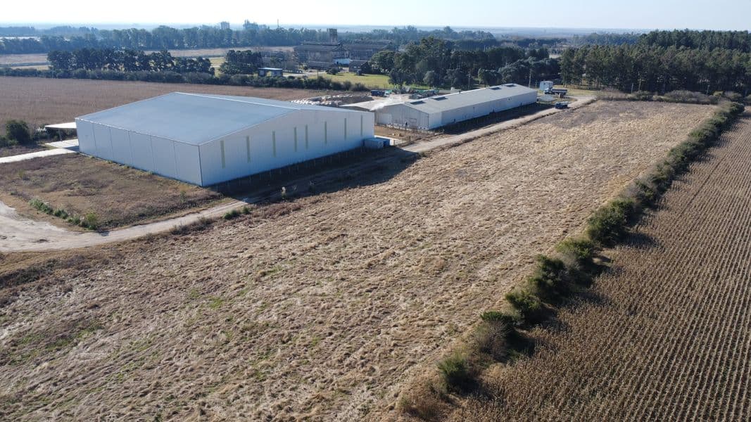 Lote Categoría II - Zárate  - Miniatura 5